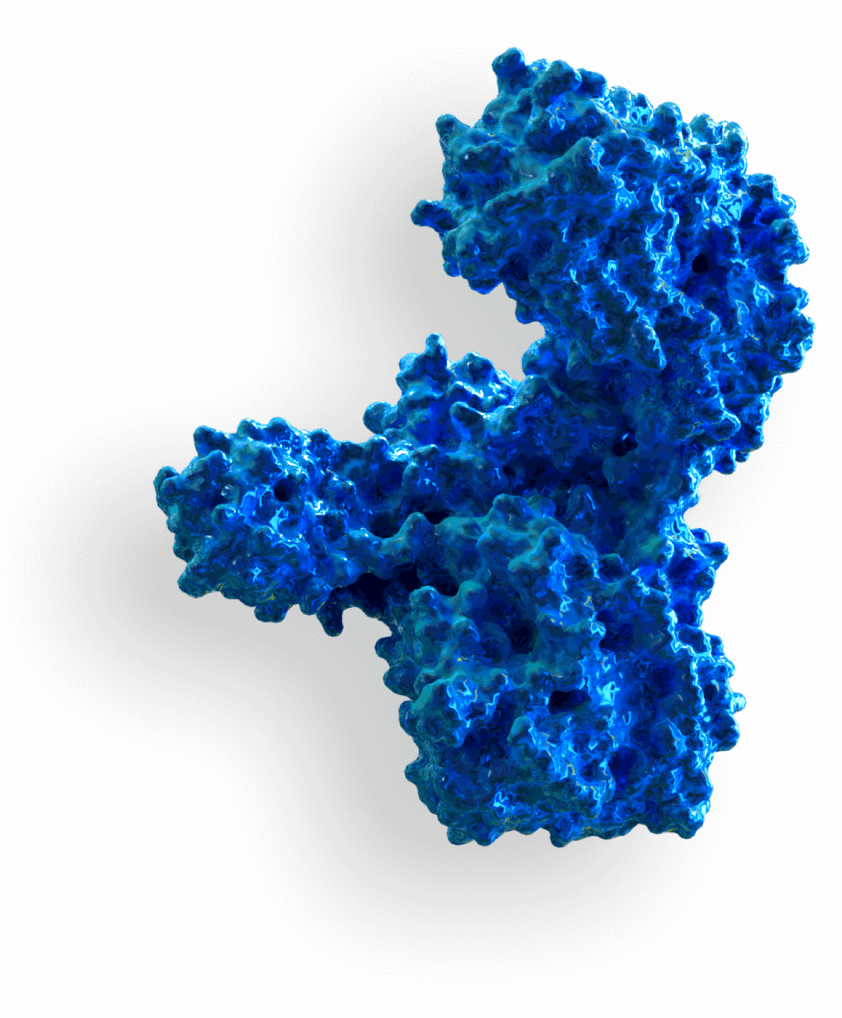 Xeomin Molecule Xeomin Molecule