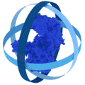 Xeomin Gif